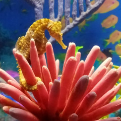 Walpurga Waldparty 2025 Potsdam