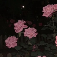 r.i.p. ft. lxst boy (1080PALE)