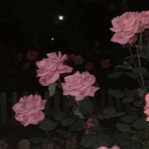 r.i.p. ft. lxst boy (1080PALE)