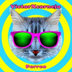 Perreo (Extended mix)