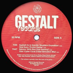 Various - Anniversary Sampler 05 (GST30)