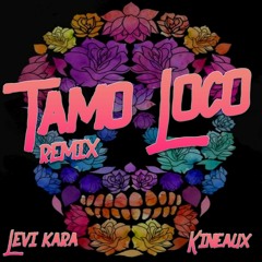 Tamo loco (Levikara x Kineaux remix)
