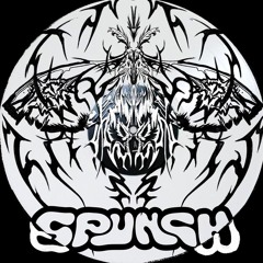 MOTHS (DIRECT DL)