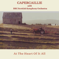 At The Heart Of It All (Orchestral) [feat. BBC Scottish Symphony Orchestra]