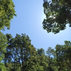 peace of mind vol. 2