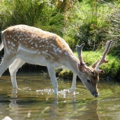 prism/beyourfavorite!!! (demo)