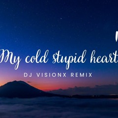 My Cold Stupid Heart (Dj Vision Remix).mp3