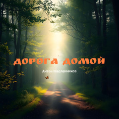 Дорога домой: Acoustic