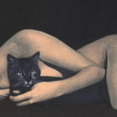 feline##