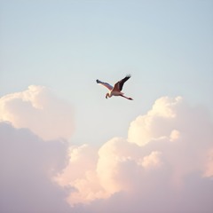 Featherlight