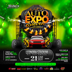 Auto Expo 11 promo mix