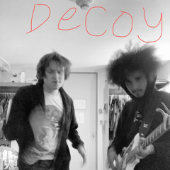 decoy