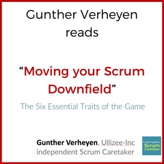 Gunther Verheyen reads his paper Moving Your Scrum Downfield