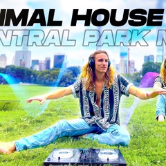 Central Park Minimal house mix