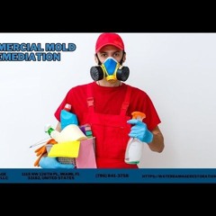 Commercial Mold Remediation