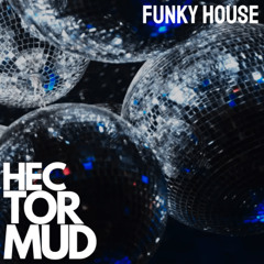 06 HECTORMUD - FUNKY HOUSE