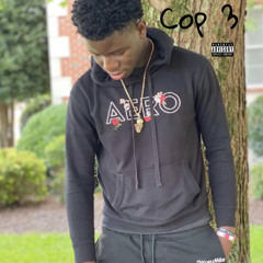 COP 3