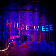 Dilo4000@Wilde Wiese 2024