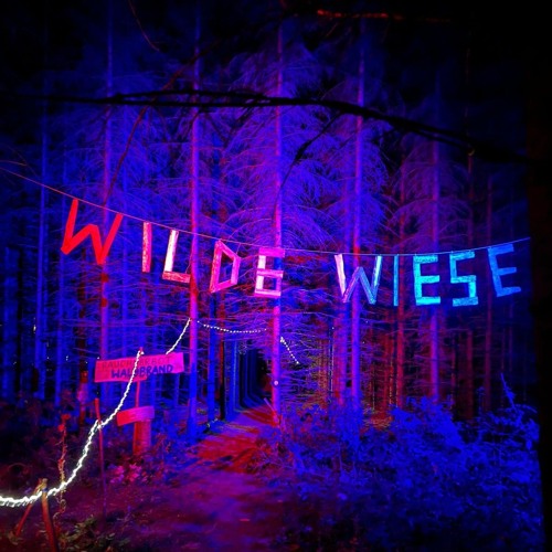 Dilo4000@Wilde Wiese 2024