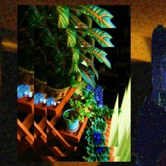 Peakallymultifunctionantibacterialwipes