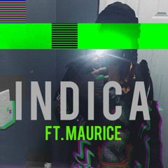 Indica ft. Maurice