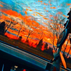 ZEULE-TRiP