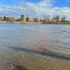 Geburtstagsständchen