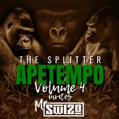 04 APETEMPO VOL.4 FEAT MR.SWIZO