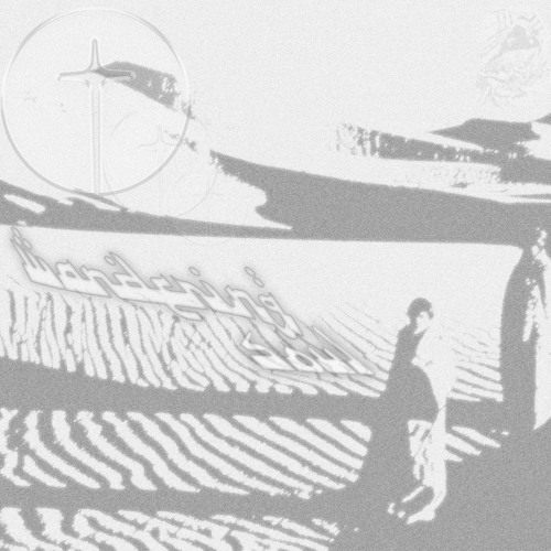 WANDERING SOUL | THE BEAT TAPE (Prod. @wavsflp)