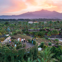 ATLANTE-RADICE PURA GARDEN FESTIVAL