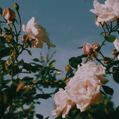 BESTFRIEND! (feat. Emmanutell)