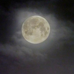 1. Moon 2010 Michaël Vancraeynest - Compilated Example