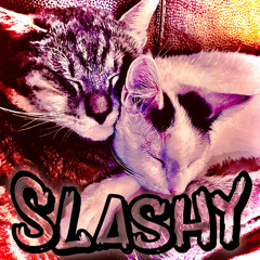 SLASHY | DOLL‘C‘E ViTAMiCELLi