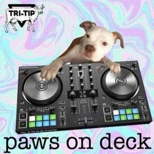 pawz on deck