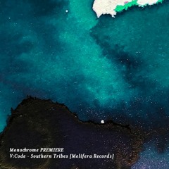 𝐏𝐑𝐄𝐌𝐈𝐄𝐑𝐄 : V:Code - Southern Tribes [Melifera Records]