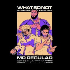 Mr.Regular (Wrong)