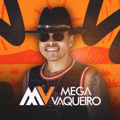 Já Que Você Gosta De Rua (Cover)