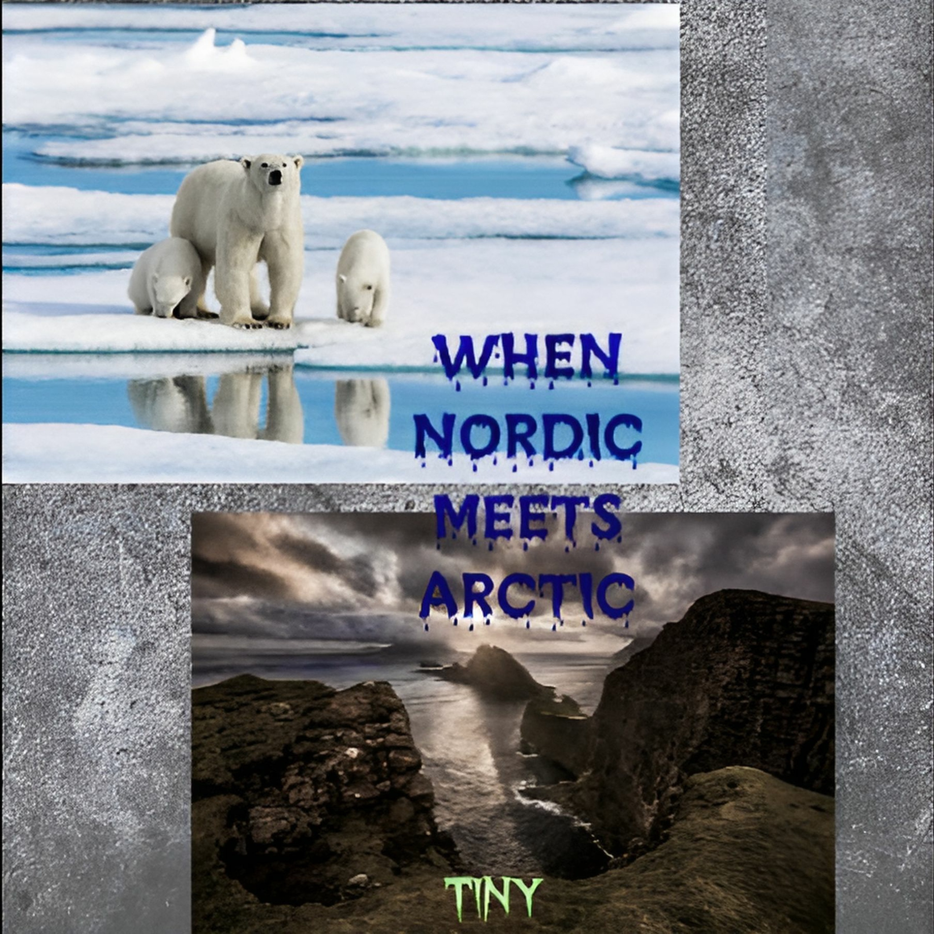 WHEN NORDIC MEETS ARCTIC - כשנורדי פוגש ארקטי episode artwork