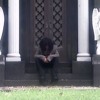 Burn -fixed-  (prod wallaby)- mandy
