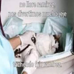 No llore ramirez, nos divertimos mucho jeje tachendo frío ramirez.