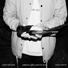 Dead Boys - Sam Fender (Jøsh's Low Lights Mix)