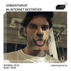 #5 INTERNET DESTRÖYER