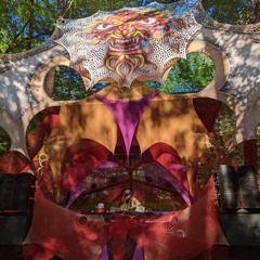 Sally @ Future Forest 2022