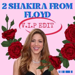 PREVIEW 2 Shakira From Floyd (V.I.P EDIT)