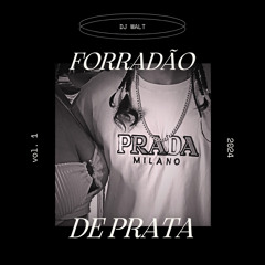 ''FORRADÃO DE PRATA'' - DJ WALT X MC JOÃOZINHO X MC KV7 X MC EDUH DA ZS X MC RUAN012 (Prod.TTHEUZ1N)