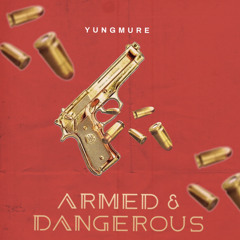 Armed & Dangerous (prod. soundlocs)