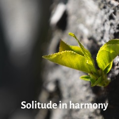 Solitude In Harmony