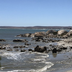 HYPNOTIC GROOVES 007