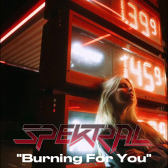 Burning For You by, (Dj Spektral)
