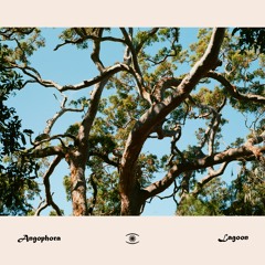Angophora - Lagoon - s0522